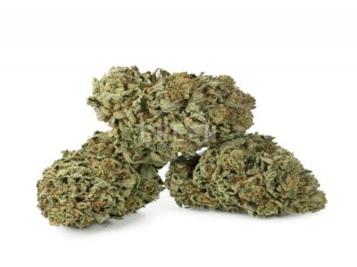 Buy OG Kush Marijuana Strain Online